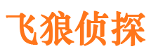 武定市侦探调查公司